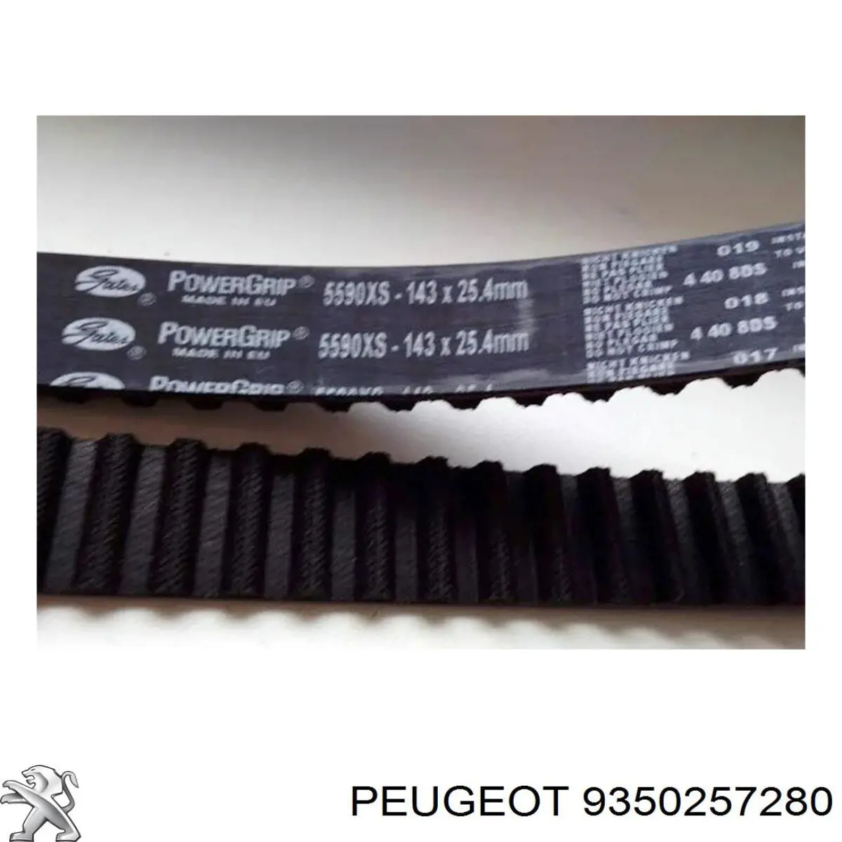 Шестерня розподільчого вала Fiat/Alfa/Lancia 9350257280 ціна, від 14.63 USD