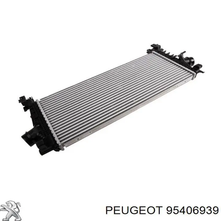 Радіатор інтеркулера Thermotec DAX030TT