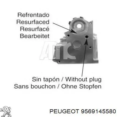 Купити 9569145580 Peugeot/Citroen Головка блоку