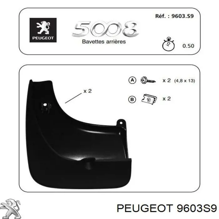 9603S9 Peugeot/Citroen Бризковики