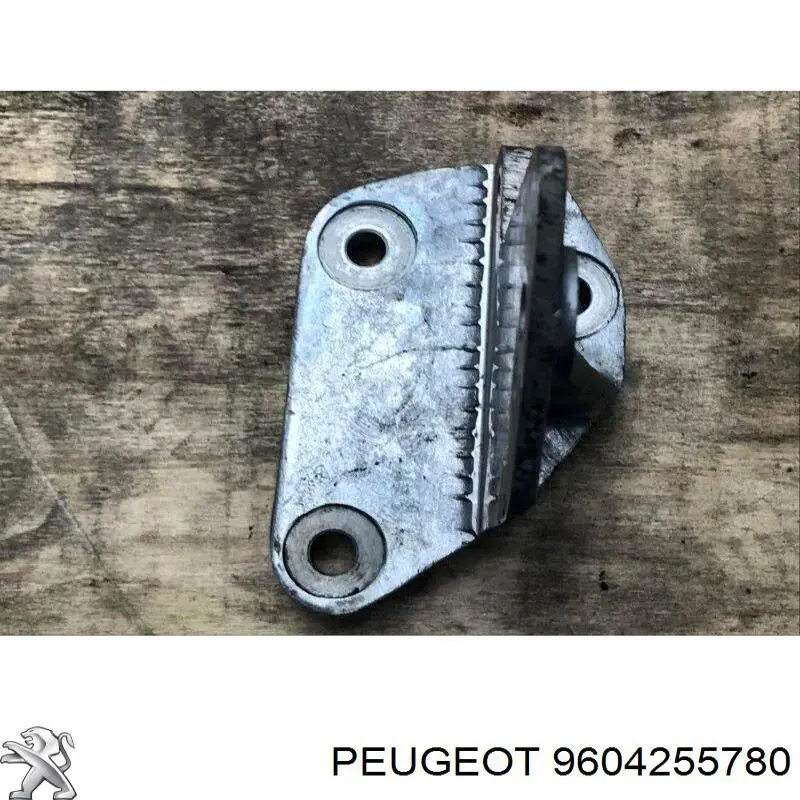 Купити 9604255780 Peugeot/Citroen 