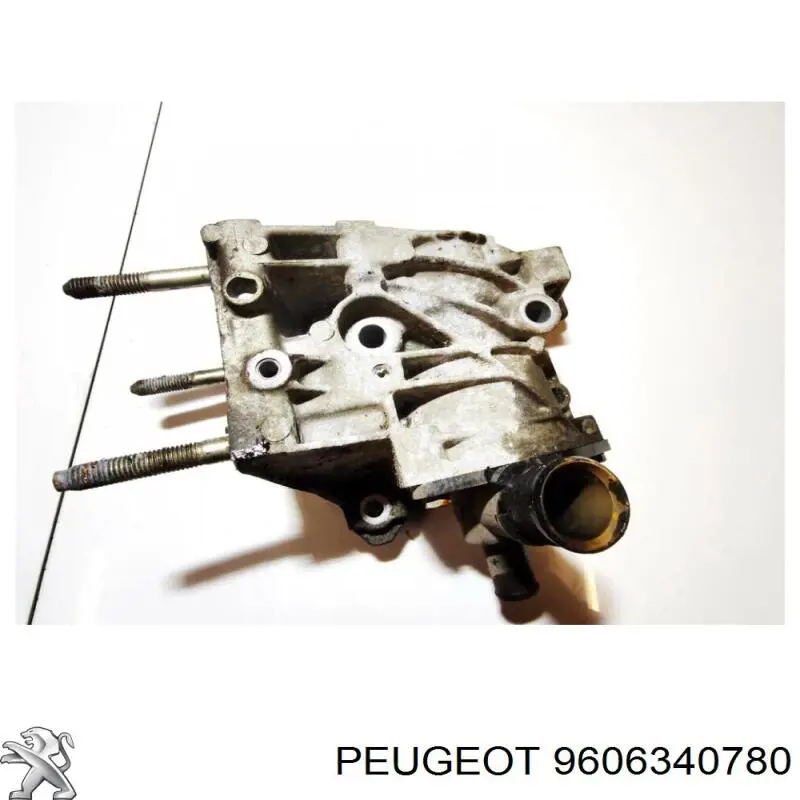 9606340780 Peugeot/Citroen 