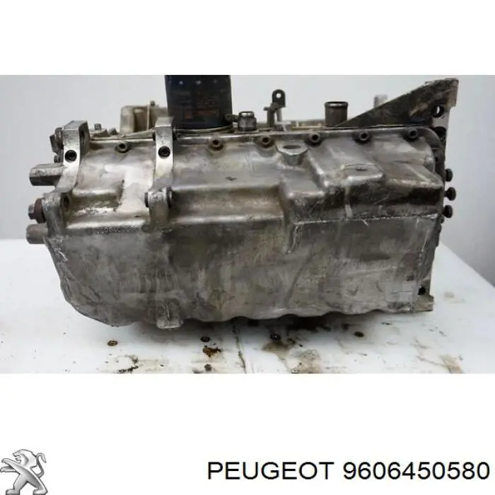 9606450580 Peugeot/Citroen 