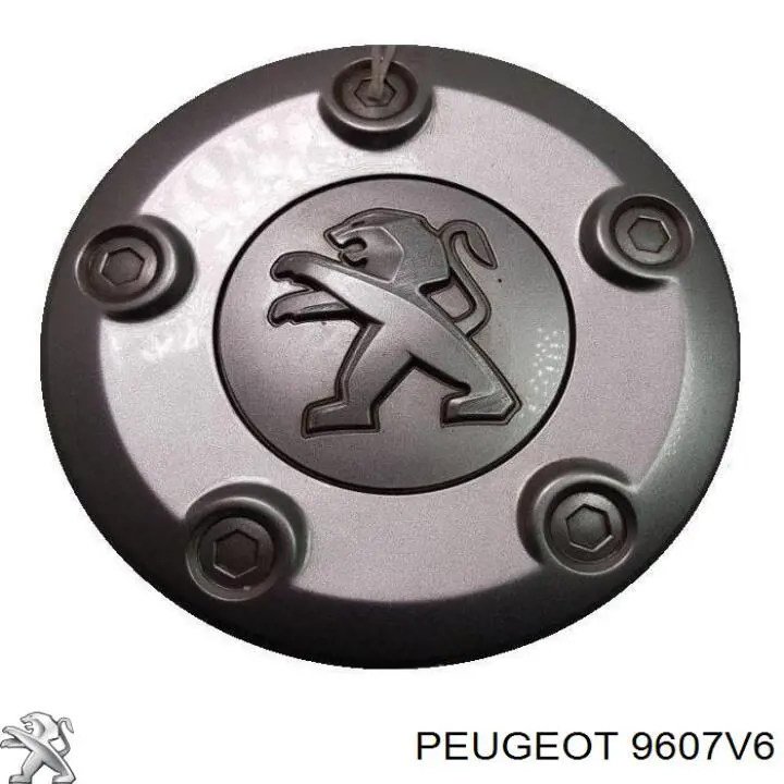 9607V6 Peugeot/Citroen ковпак колісного диска