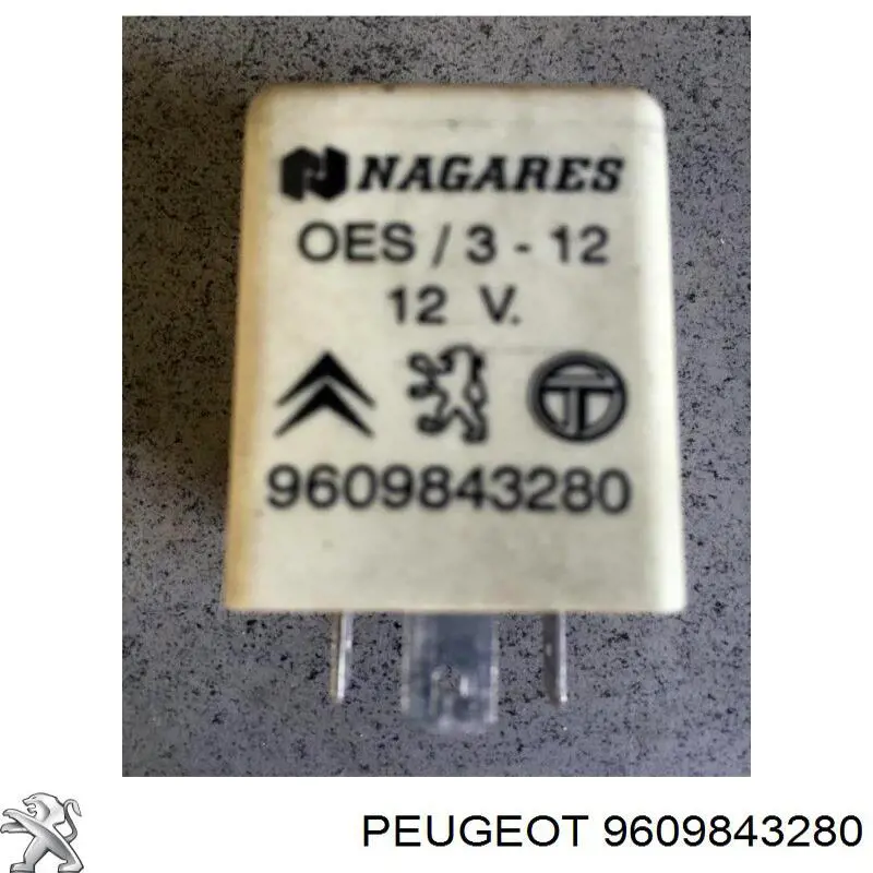 9609843280 Peugeot/Citroen 
