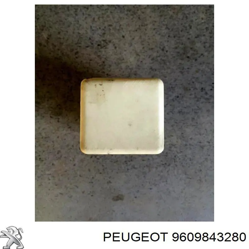 Купити 9609843280 Peugeot/Citroen 