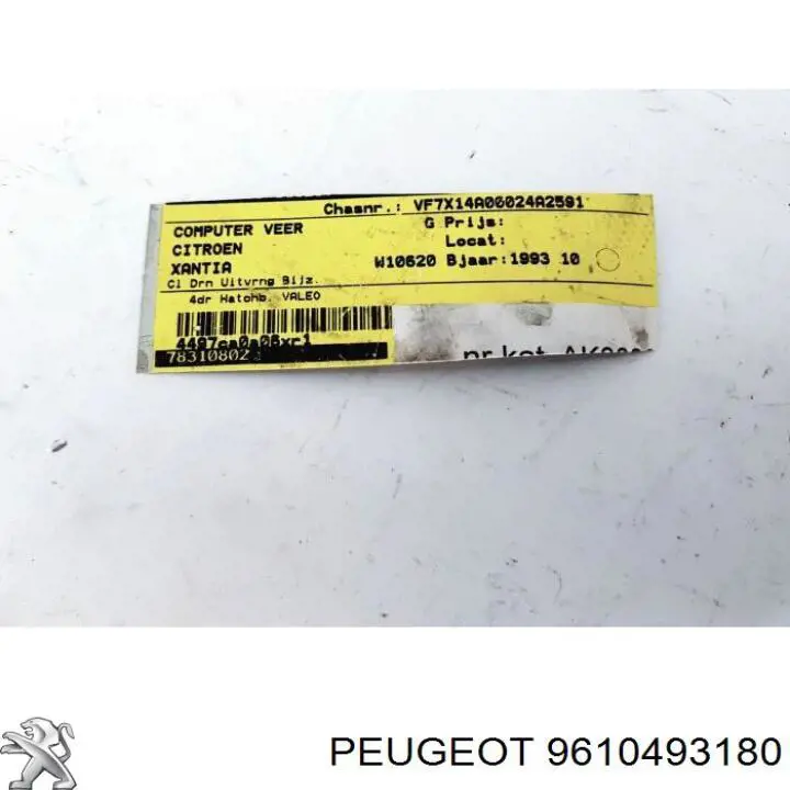 9610493180 Peugeot/Citroen 