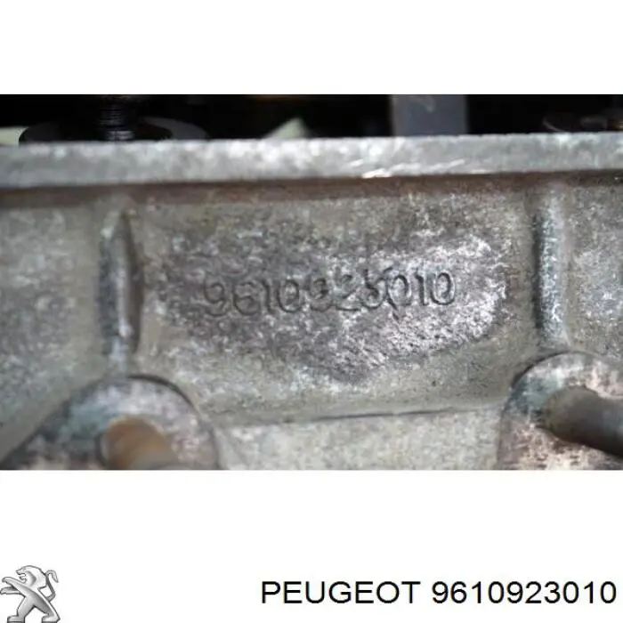 Купити 9610923010 Peugeot/Citroen 