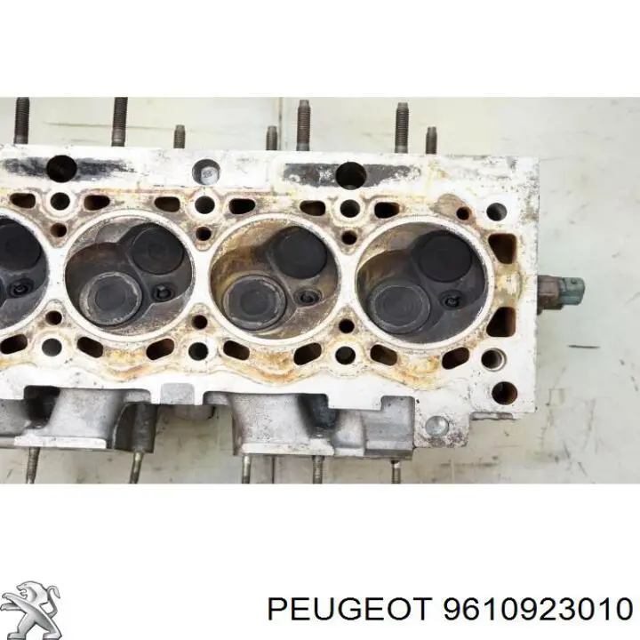 9610923010 Peugeot/Citroen 