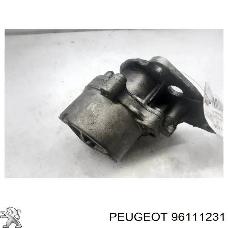 Насос вакуумний Peugeot/Citroen 96111231 ціна, від 57.36 USD