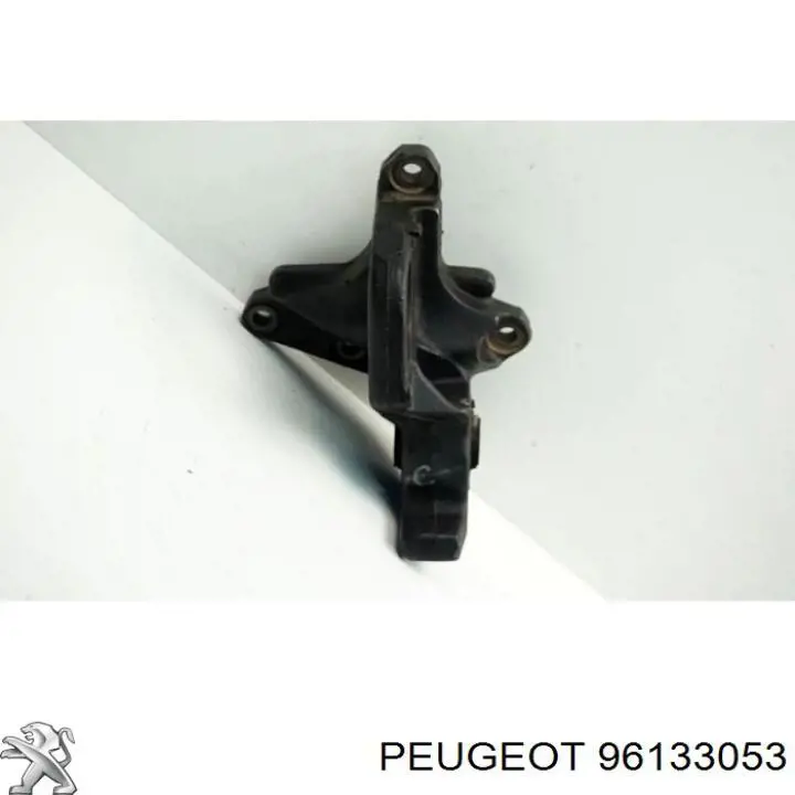 96133053 Peugeot/Citroen 