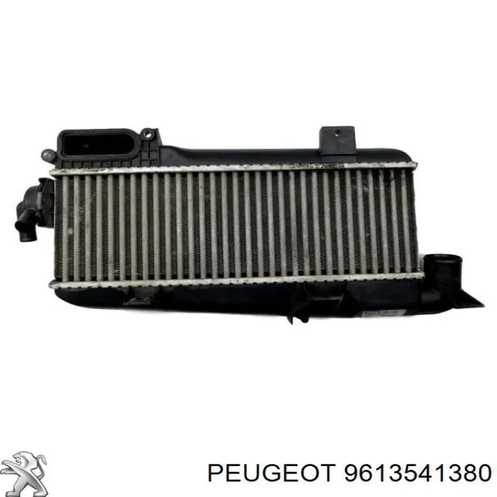 Радіатор интеркуллера 9613541380 Peugeot/Citroen