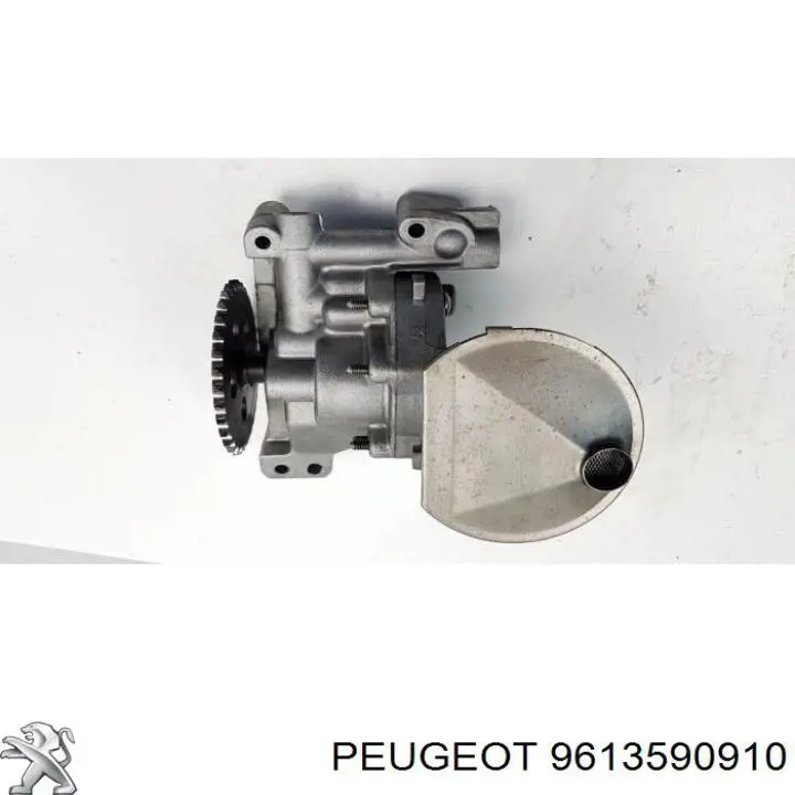 9613590910 Peugeot/Citroen 