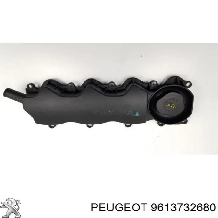 9613732680 Peugeot/Citroen 