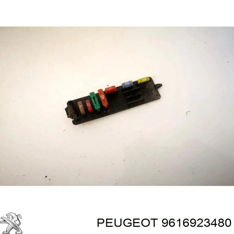  Peugeot/Citroen 9616923480 ціна, від 18.34 USD