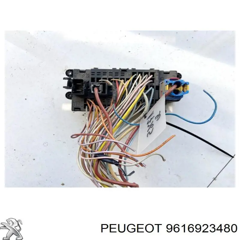  9616923480 Peugeot/Citroen
