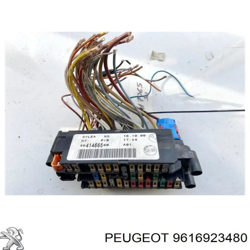 Купити 9616923480 Peugeot/Citroen 