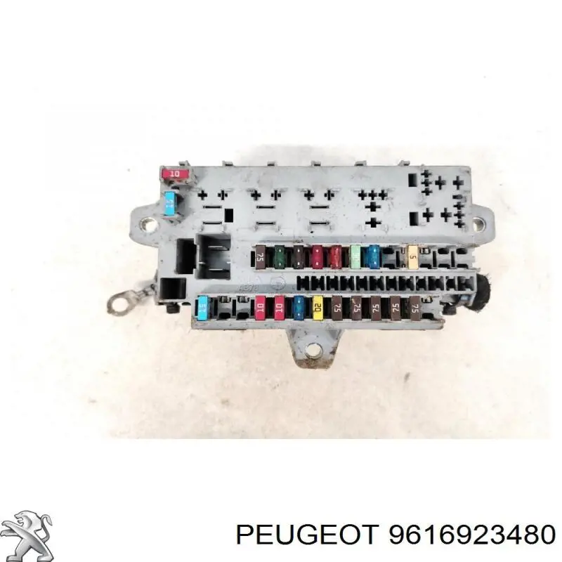 9616923480 Peugeot/Citroen 