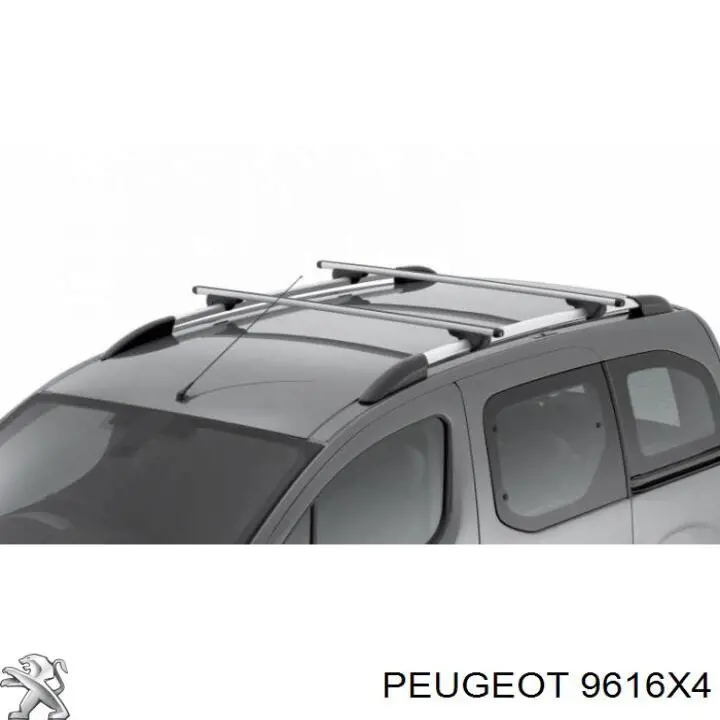 9616X4 Peugeot/Citroen 