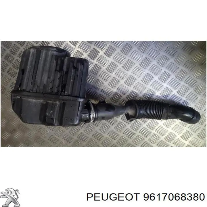  Peugeot/Citroen 9617068380 ціна, від 19.06 USD