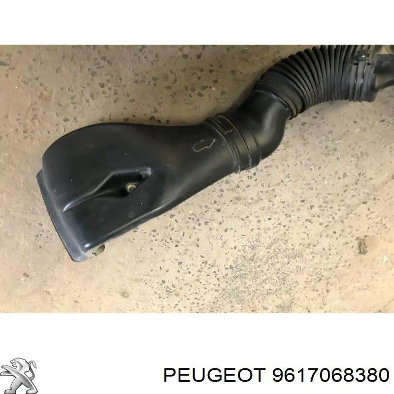 Купити 9617068380 Peugeot/Citroen 