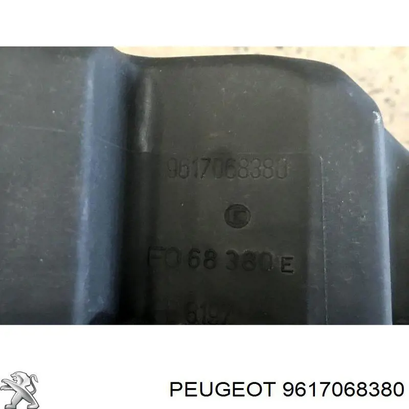 9617068380 Peugeot/Citroen 