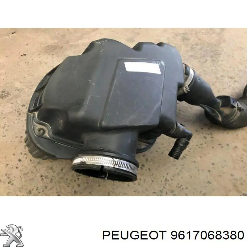  9617068380 Peugeot/Citroen
