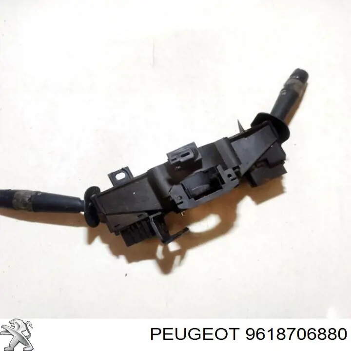 9618706880 Peugeot/Citroen 