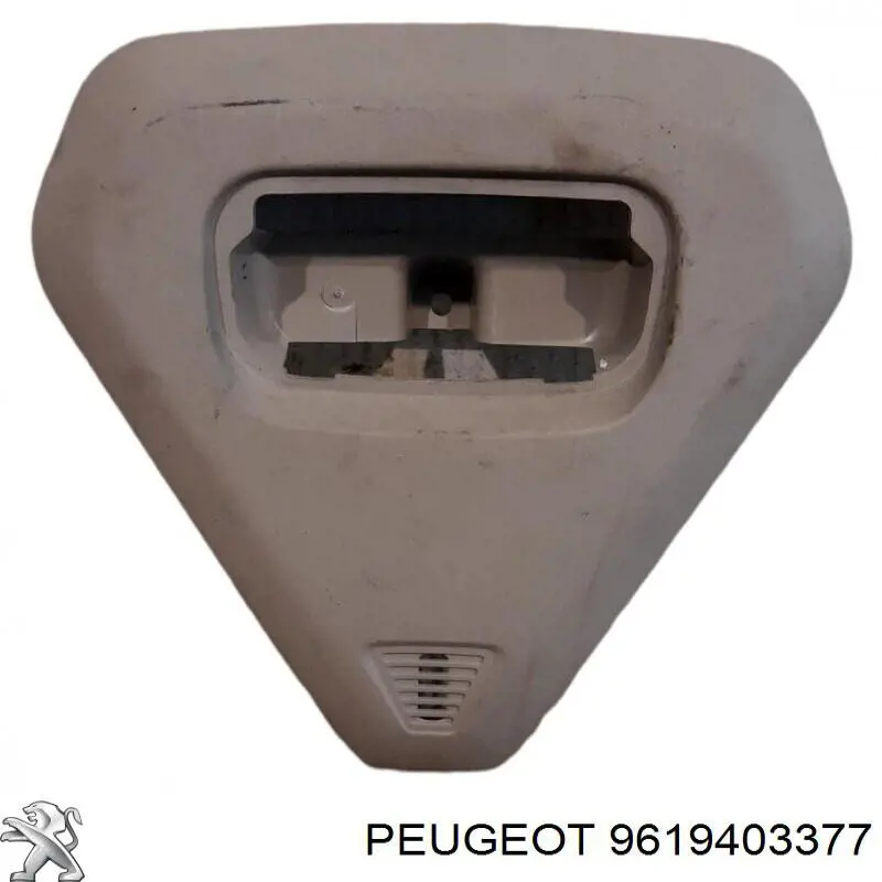  9619403377 Peugeot/Citroen