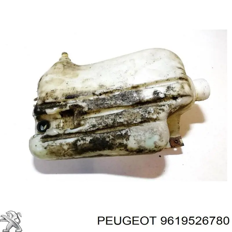 Купити 9619526780 Peugeot/Citroen 