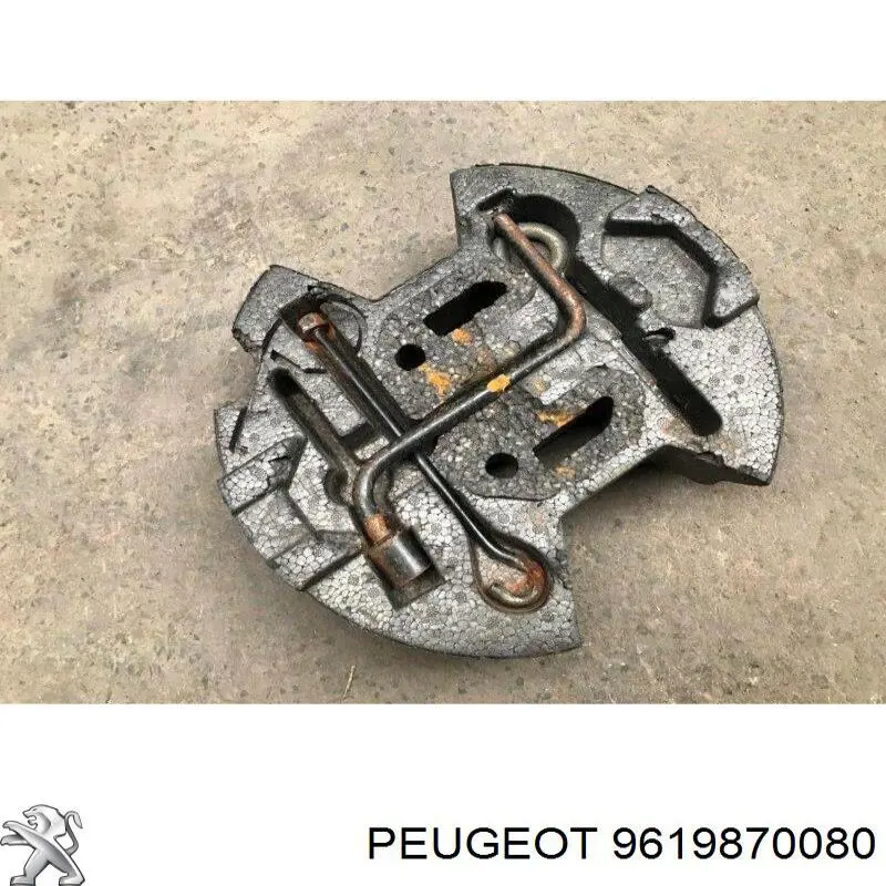 9619870080 Peugeot/Citroen 