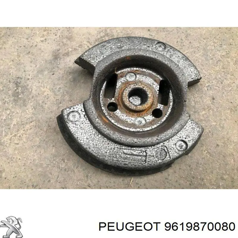Купити 9619870080 Peugeot/Citroen 