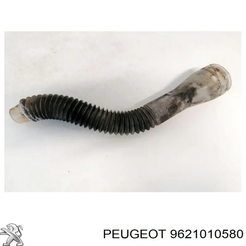  Peugeot/Citroen 9621010580