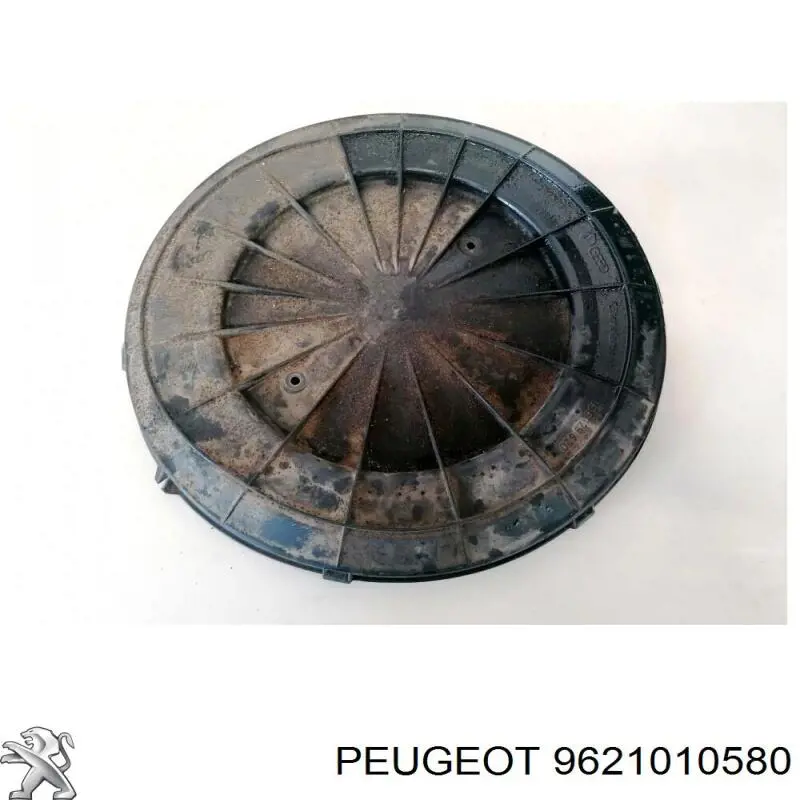 9621010580 Peugeot/Citroen 