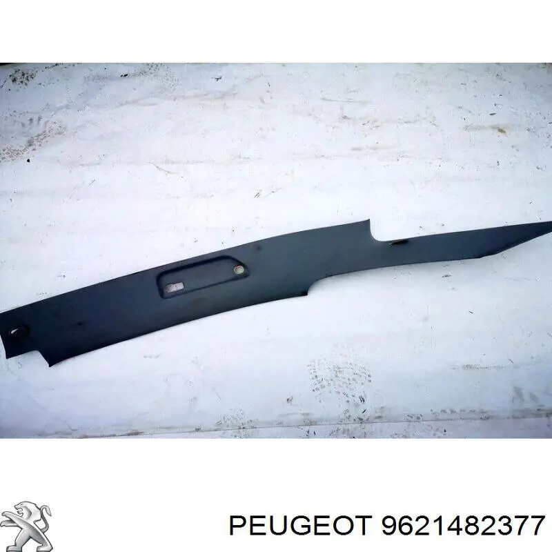 9621482377 Peugeot/Citroen 