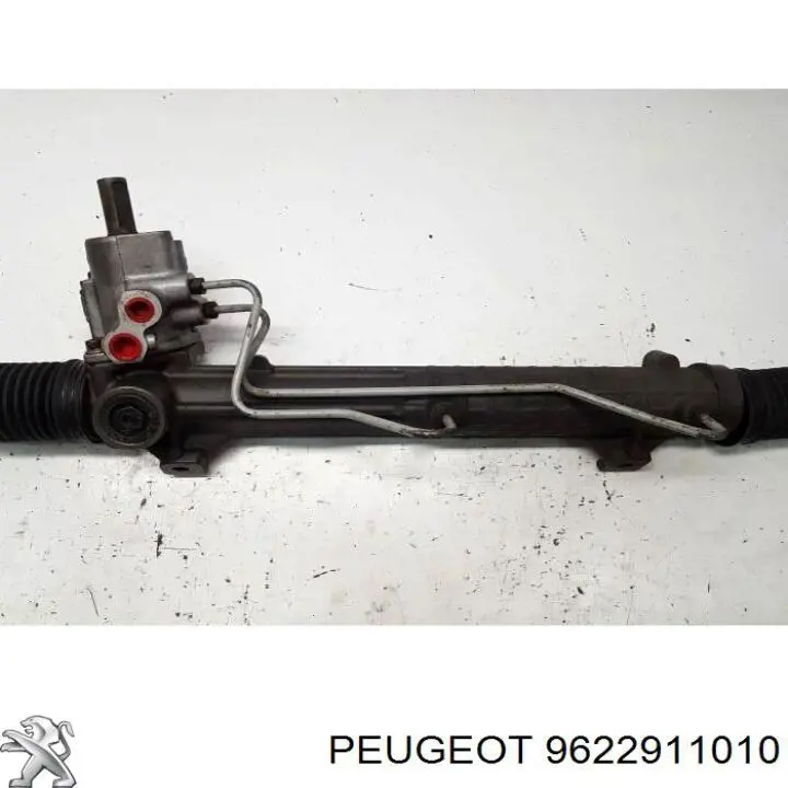 9622911010 Peugeot/Citroen 