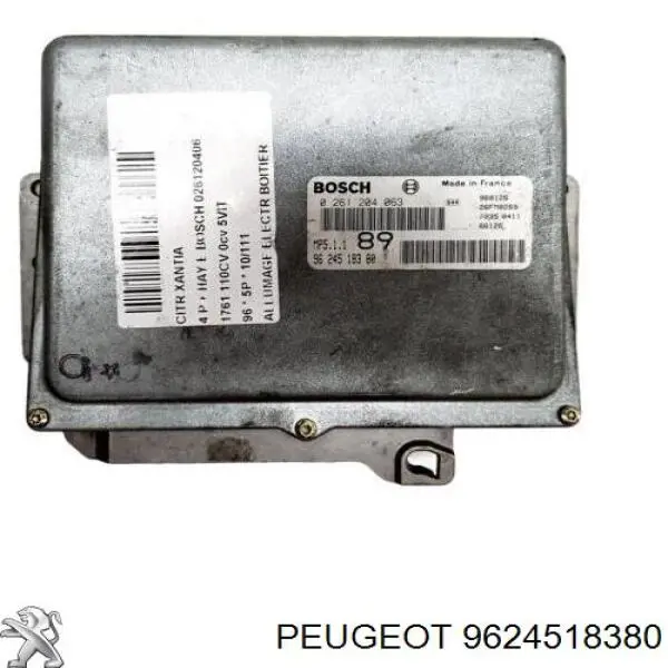 Купити 9624518380 Peugeot/Citroen 