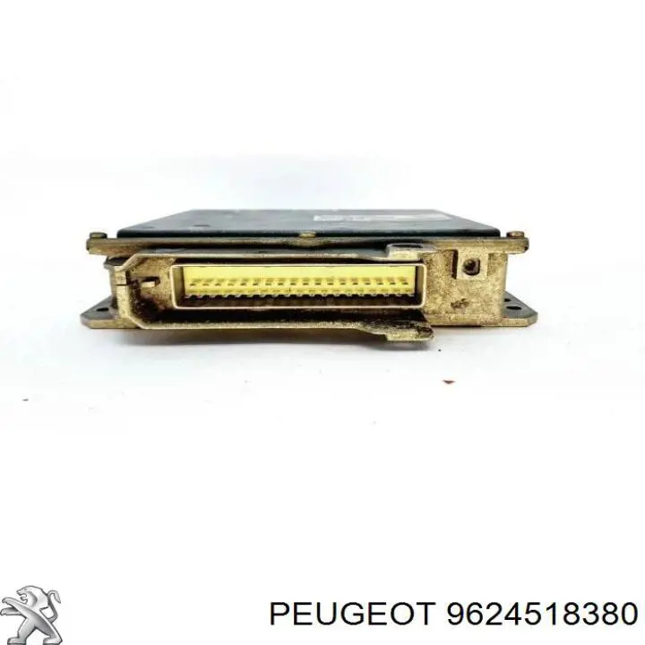  9624518380 Peugeot/Citroen
