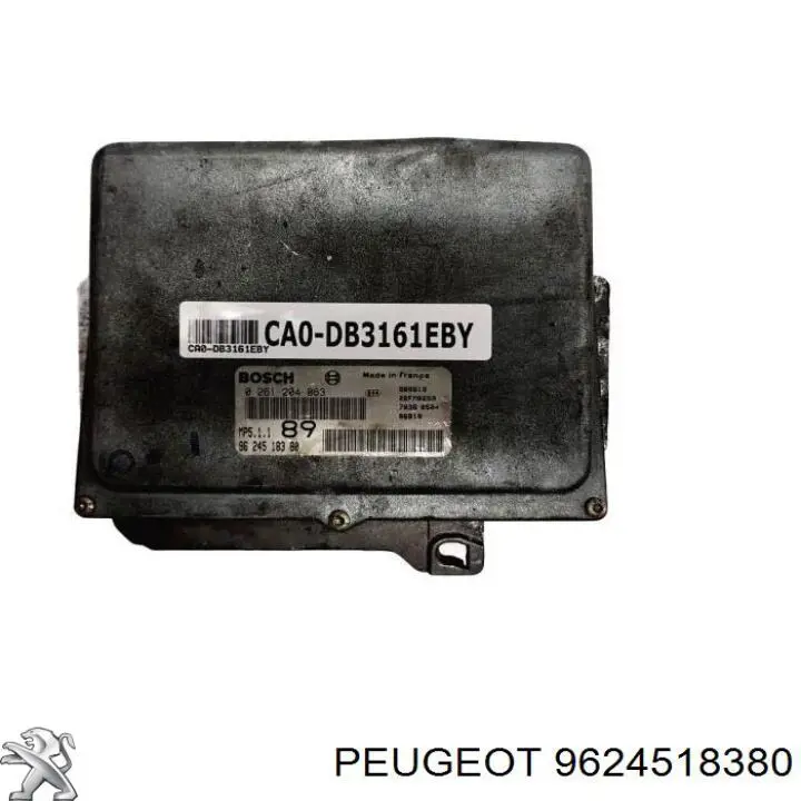 9624518380 Peugeot/Citroen 