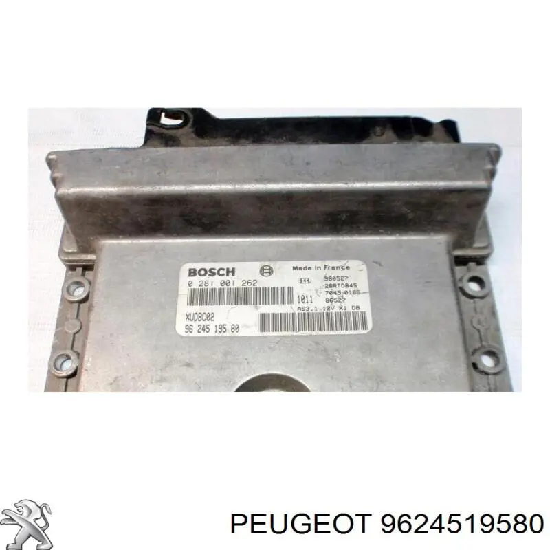  9624519580 Peugeot/Citroen