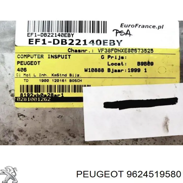 9624519580 Peugeot/Citroen 