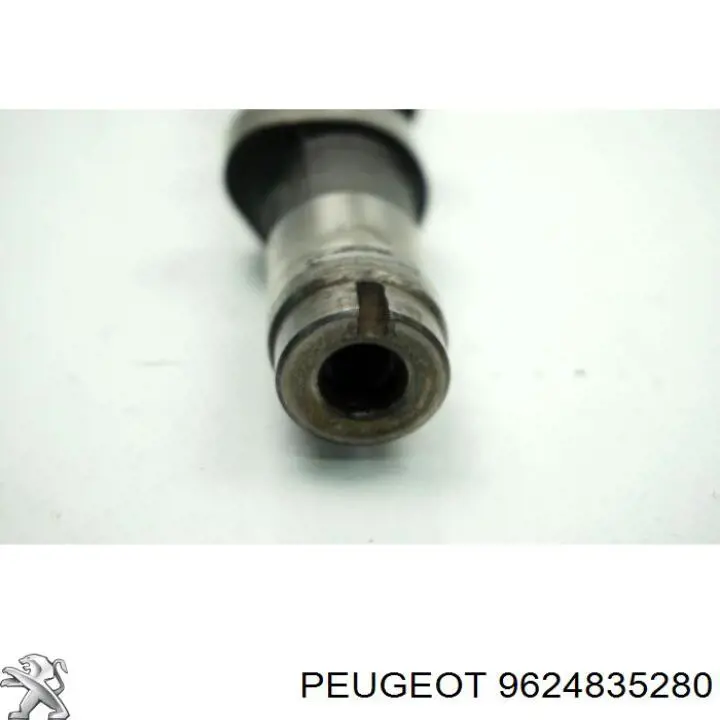 Купити 9624835280 Peugeot/Citroen Розподільчий вал двигуна