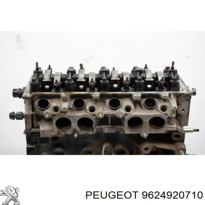 Купити 9624920710 Peugeot/Citroen 