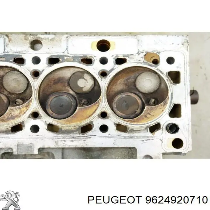  9624920710 Peugeot/Citroen
