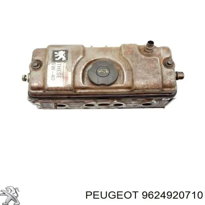  Peugeot/Citroen 9624920710