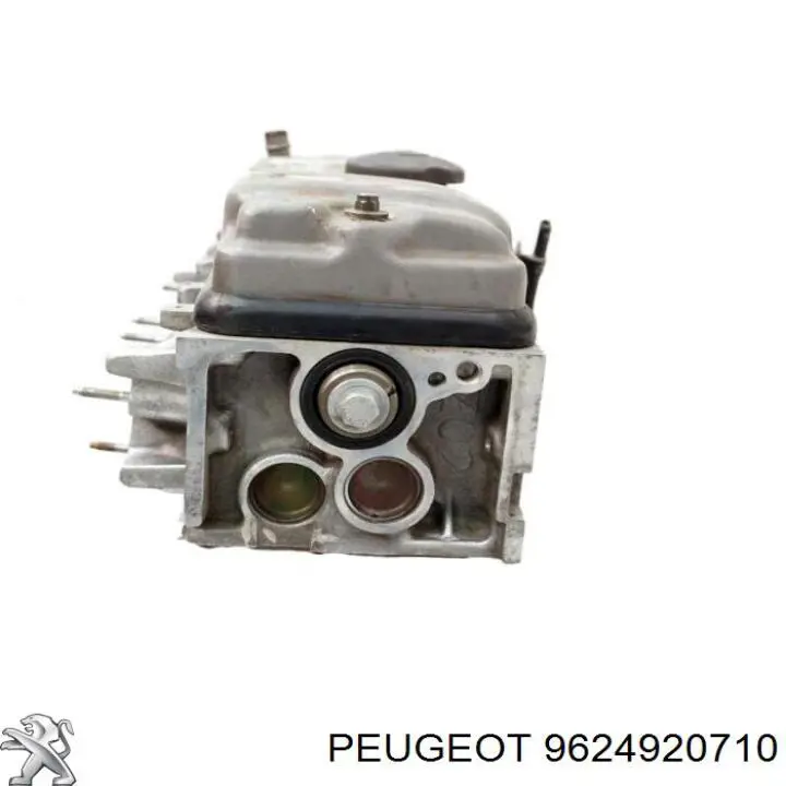 9624920710 Peugeot/Citroen 