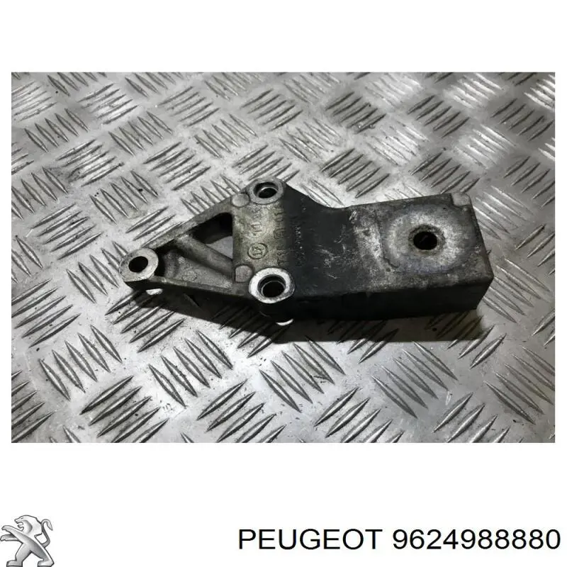 9624988880 Peugeot/Citroen 