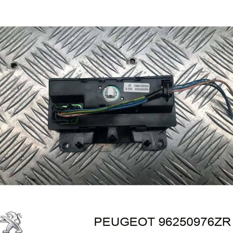Купити 96250976ZR Peugeot/Citroen 