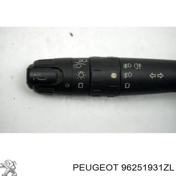 96251931ZL Peugeot/Citroen 