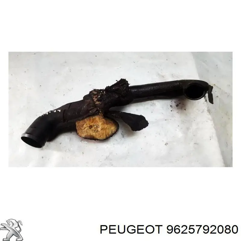 Купити 9625792080 Peugeot/Citroen 